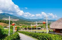 Scenic day trip to Pai from Chiang Mai with private driver
