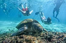 Koh Nangyuan and Hidden Bays Snorkeling Tour with Lunch from Kho Tao