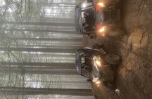 Private buggy off-road driving experience in Madeira