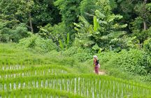 Doi Inthanon National Park tour in Chiang Mai