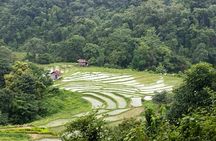 Doi Inthanon National Park tour in Chiang Mai