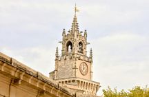 Avignon 2-hour introductory walking tour with a local