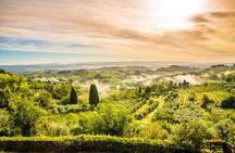 Siena and San Gimignano from Rome: Tuscany wine tour in a small group