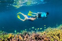 Four Gili islands guided boat tour