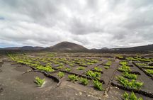 Three-hour 4x4 buggy tour in Lanzarote