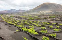 Three-hour 4x4 buggy tour in Lanzarote
