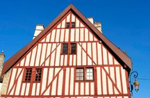 Dijon city highlights walking tour with a local guide