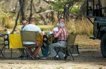 Nyerere National Park two-day safari with bush walk and boat cruise