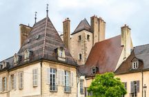 Dijon 2-hour introductory walking tour with a local