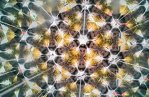 Madrid Museum of Illusions entrance tickets