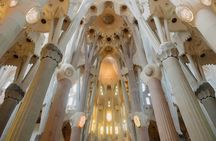 Barcelona 1-Day Guided Tour with Skip-the-Line Tickets and Transfers