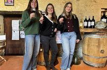 Saint-Émilion and Pomerol private full-day tour in a classic car
