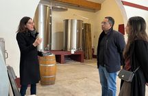 Private full-day tour to Graves and Sauternes in a 2CV from Bordeaux