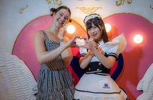 Akihabara anime and gaming adventure tour