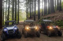 Private buggy off-road driving experience in Madeira