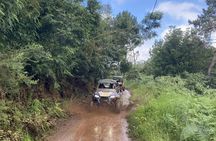 Private buggy off-road driving experience in Madeira