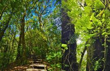 Doi Inthanon Park and Kew Mae Pan Trail private tour from Chiang Mai
