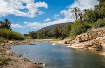 Paradise Valley expedition with buggy ride and lunch