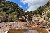 Paradise Valley expedition with buggy ride and lunch
