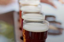 Albanian craft beer and meze tasting experience in Tirana
