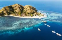 Komodo dragons, Pink Beach and snorkelling full-day adventure