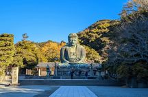 Historic Kamakura private food tour with local guide