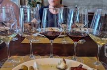 Wine and food tasting on Mount Etna vineyard from Taormina