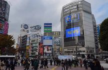 Tokyo full-day tour with private driver and local guide