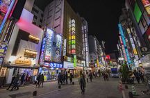 Tokyo full-day tour with private driver and local guide