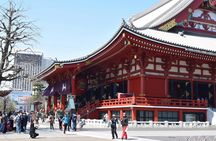 Tokyo full-day tour with private driver and local guide