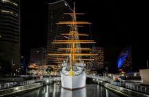 Yokohama full-day tour with private driver and local guide