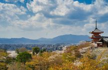 Kyoto driving tour with a guide