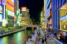 Personalized driving tour of Osaka with private guide