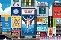 Personalized driving tour of Osaka with private guide
