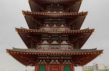 Personalized driving tour of Osaka with private guide