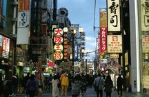Personalized driving tour of Osaka with private guide
