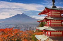 Mount Fuji full-day tour from Tokyo with private driver and guide