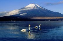 Mount Fuji full-day tour from Tokyo with private driver and guide