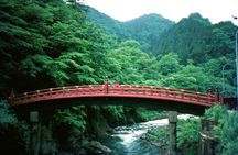 Nikko full-day tour from Tokyo with private driver and local guide
