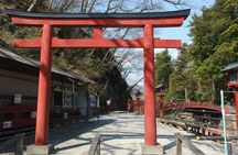 Nikko full-day tour from Tokyo with private driver and local guide