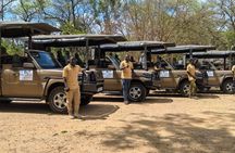 Mikumi National Park private one-day safari with flights