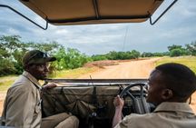 Nyerere National Park private one-day safari with flights