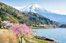 Mount Fuji top 4 must-visit attractions full day tour from Tokyo