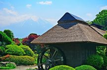 Mount Fuji top 4 must-visit attractions full day tour from Tokyo