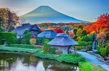 Mount Fuji top 4 must-visit attractions full day tour from Tokyo