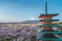 Mount Fuji top 4 must-visit attractions full day tour from Tokyo
