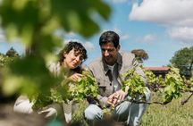 Familia Torres Winery Tour: Gastronomic & Wine Experience