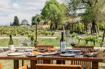 Familia Torres Winery Tour: Gastronomic & Wine Experience