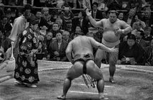 Live Sumo tournament in Tokyo