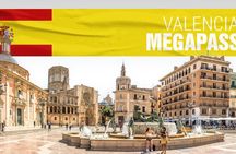Valencia top attractions MegaPass Classic with Oceanogràfic and Science Museum